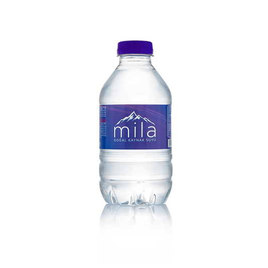 Mila Wasser 0,33 L PET-Flasche 12er Pack